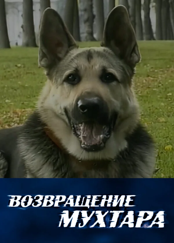 Возвращение Мухтара постер - смотреть онлайн